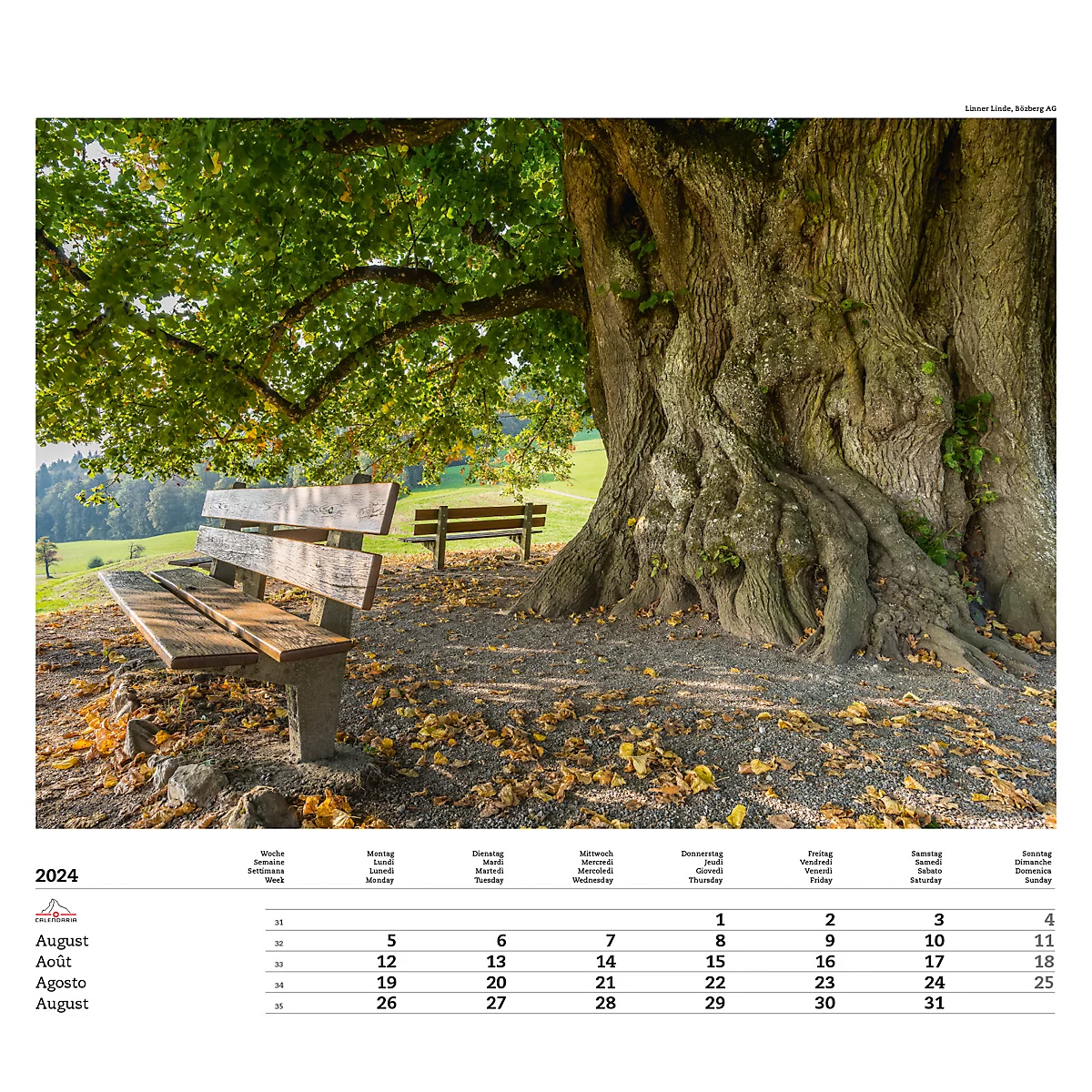 Calendrier illustré 'arborescent' Swiss Trees, L 490 x H 440 mm, format horizontal, calendrier DE/F/I/GB