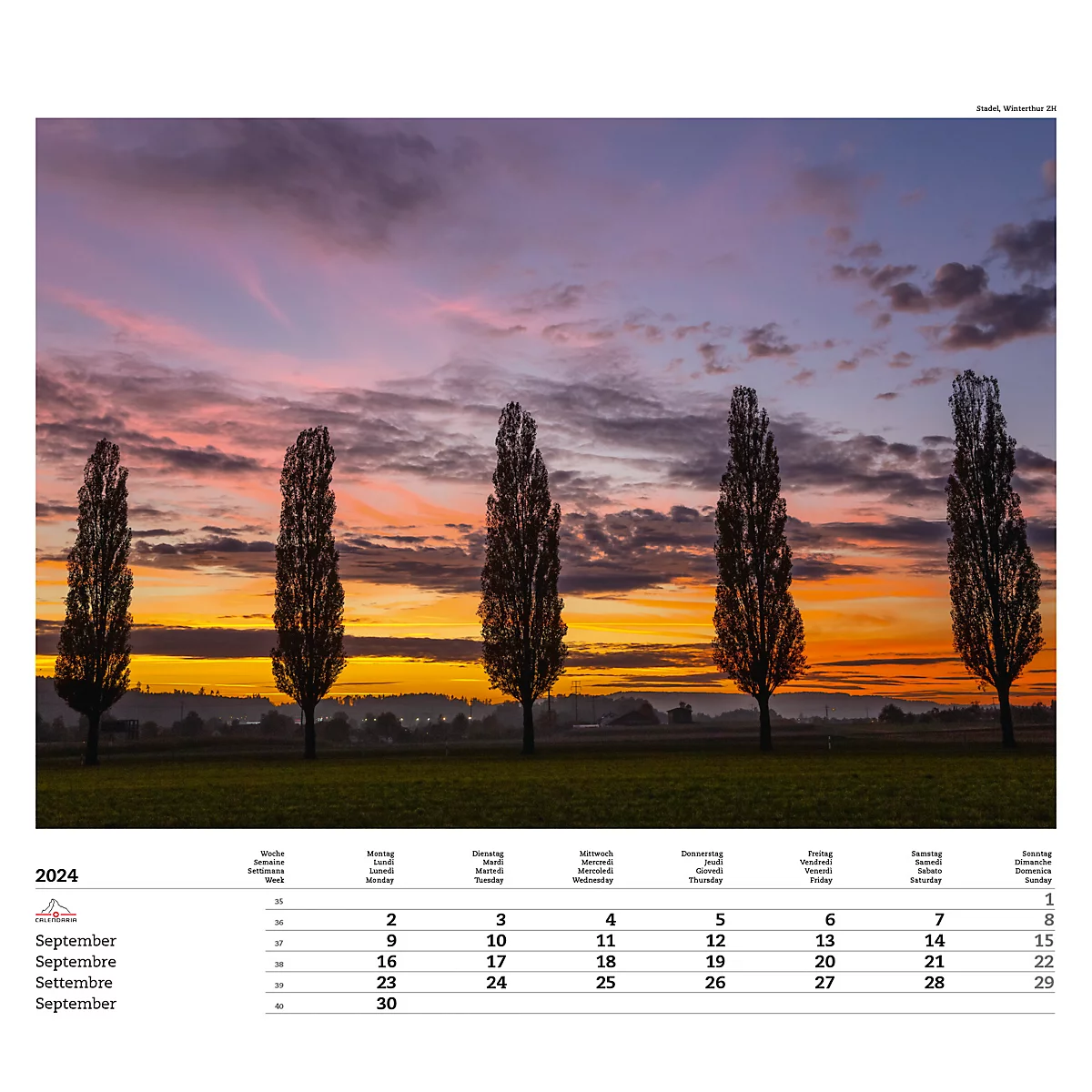 Calendrier illustré 'arborescent' Swiss Trees, L 490 x H 440 mm, format horizontal, calendrier DE/F/I/GB