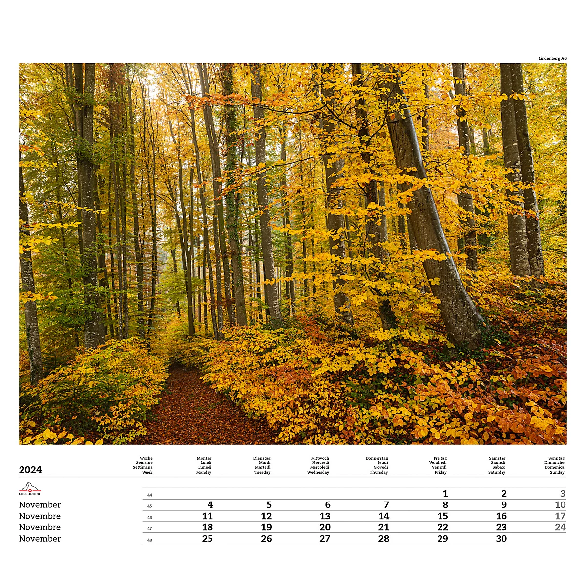 Calendrier illustré 'arborescent' Swiss Trees, L 490 x H 440 mm, format horizontal, calendrier DE/F/I/GB
