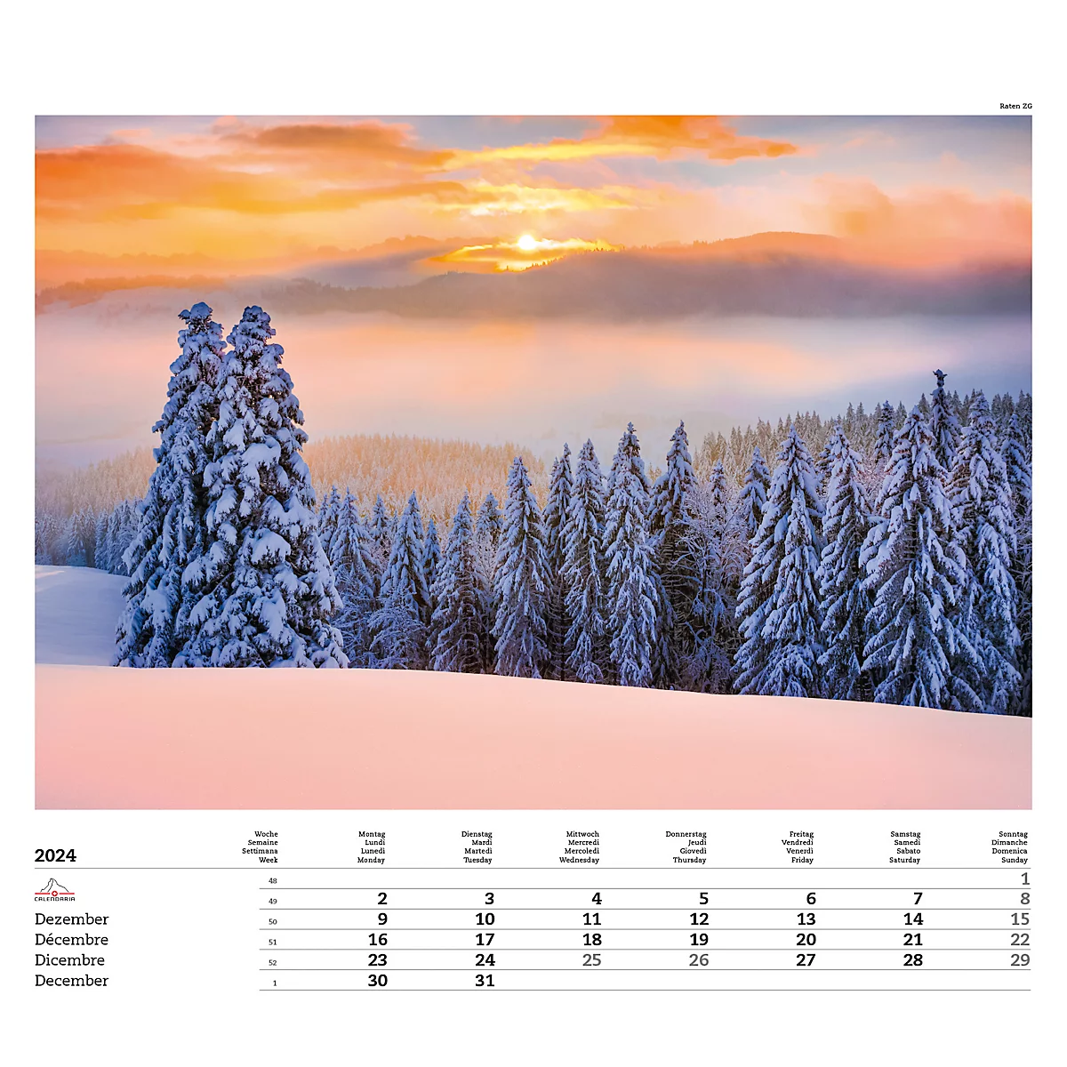 Calendrier illustré 'arborescent' Swiss Trees, L 490 x H 440 mm, format horizontal, calendrier DE/F/I/GB