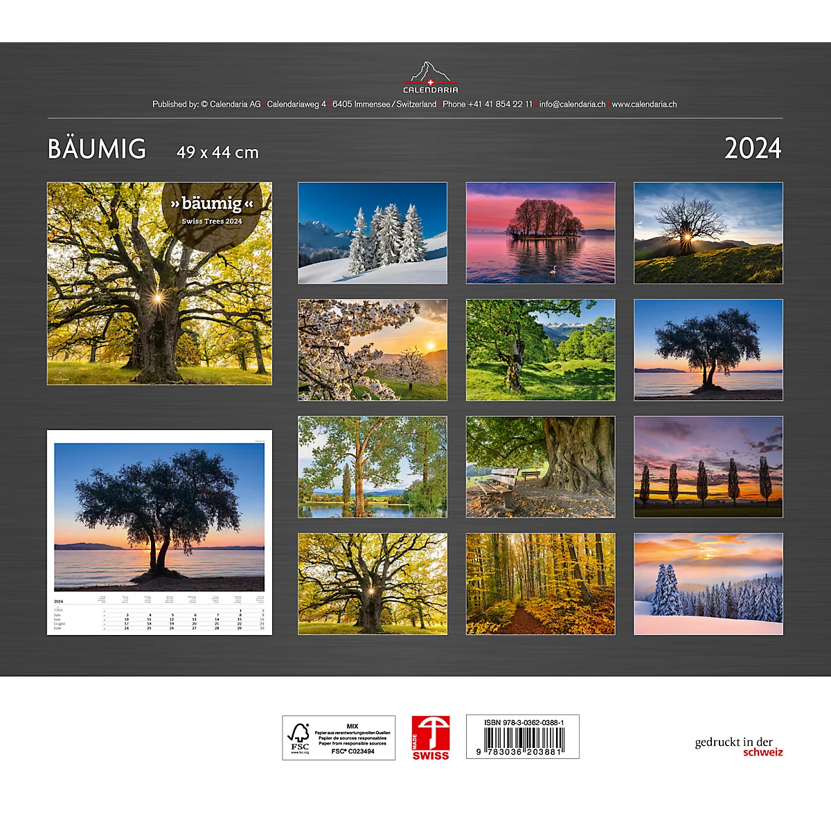 Calendrier illustré 'arborescent' Swiss Trees, L 490 x H 440 mm, format horizontal, calendrier DE/F/I/GB