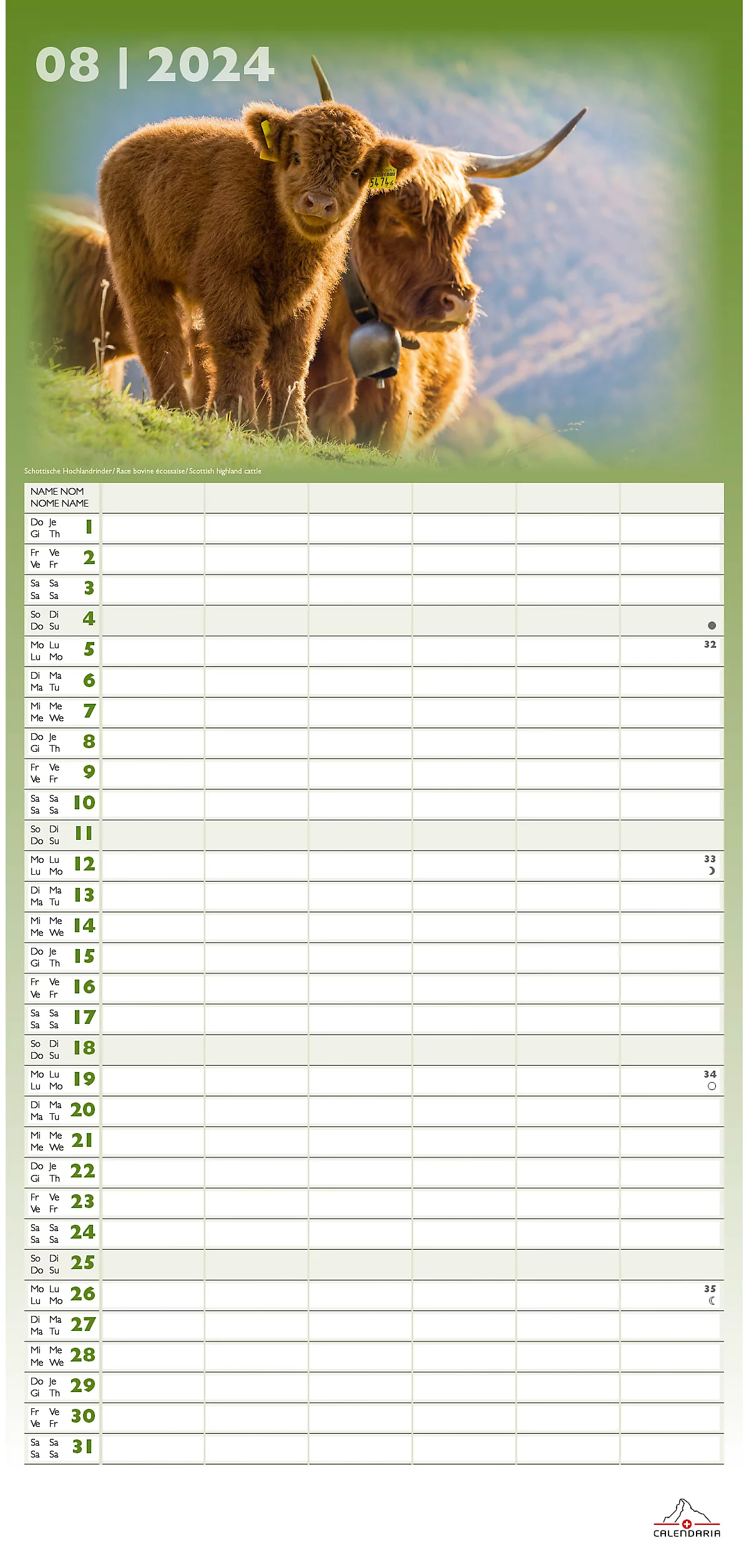 Calendrier vertical Collection 2024 - Animaux multicolores