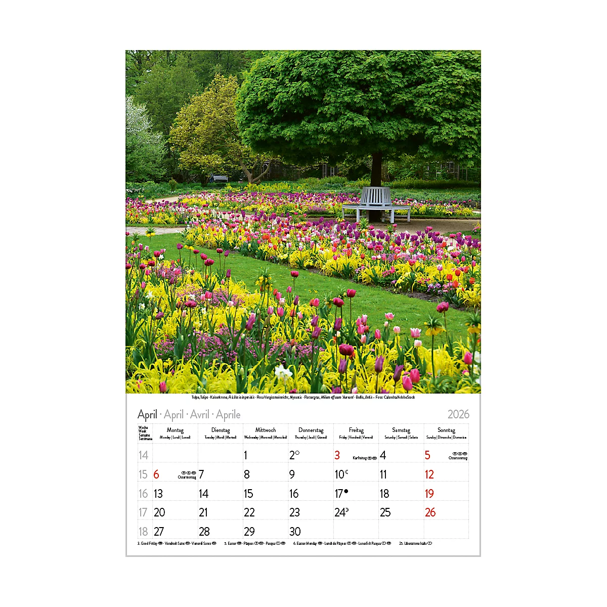 Calendrier illustré Korsch Magie des fleurs 2026, avec motifs photographiques, L 235 x H 335 mm, papier