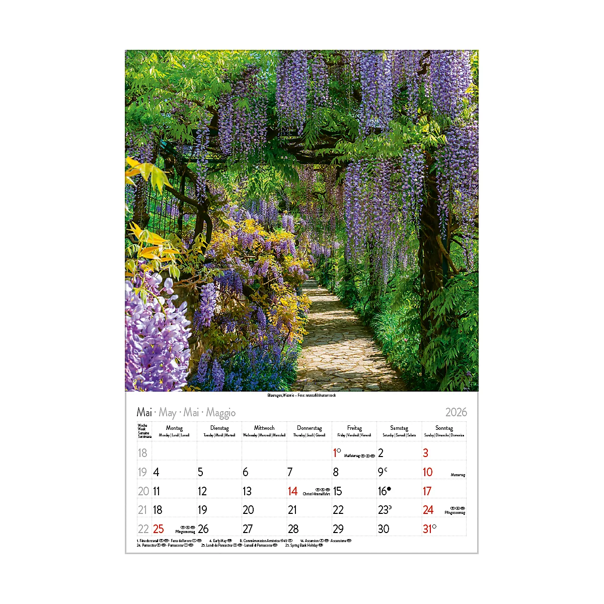 Calendrier illustré Korsch Magie des fleurs 2026, avec motifs photographiques, L 235 x H 335 mm, papier