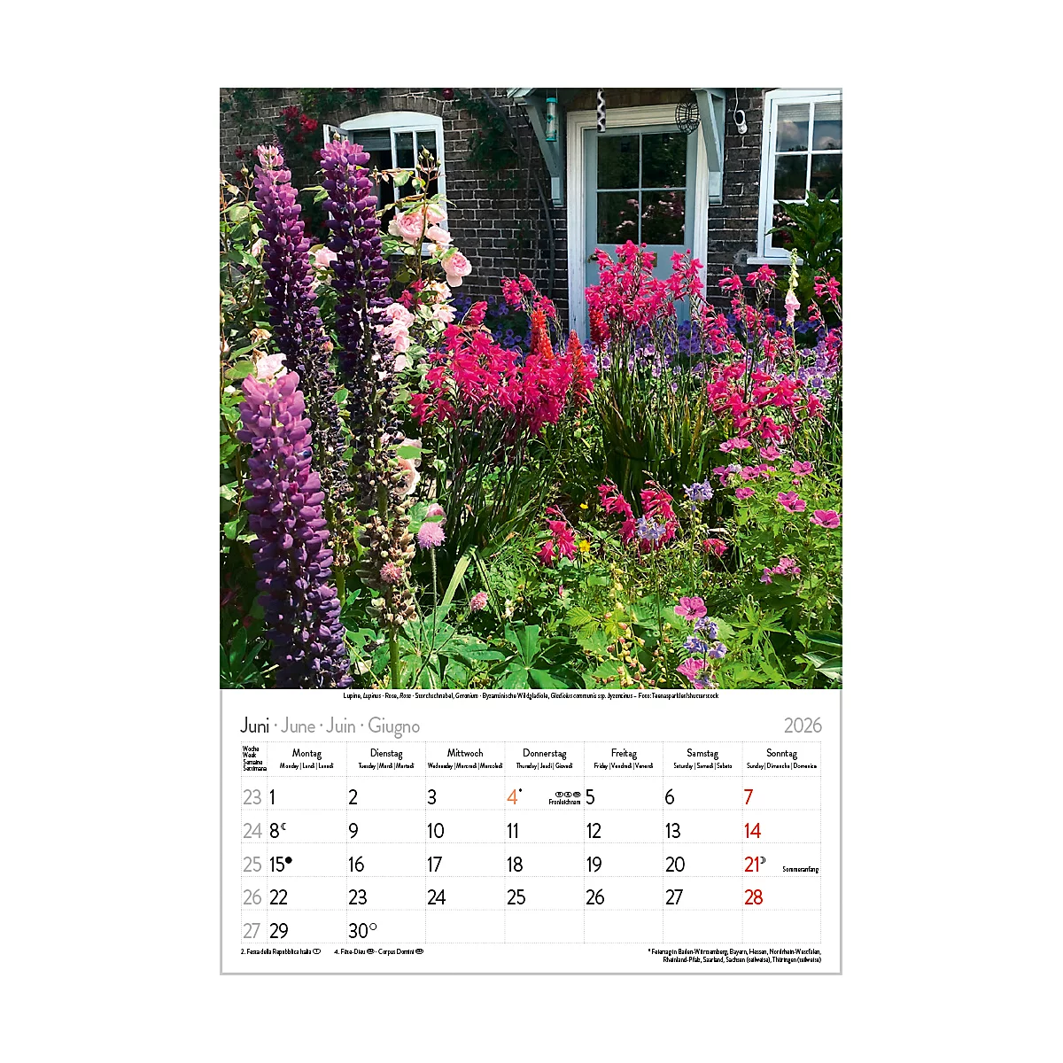 Calendrier illustré Korsch Magie des fleurs 2026, avec motifs photographiques, L 235 x H 335 mm, papier