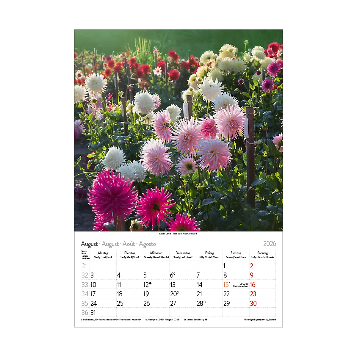 Calendrier illustré Korsch Magie des fleurs 2026, avec motifs photographiques, L 235 x H 335 mm, papier
