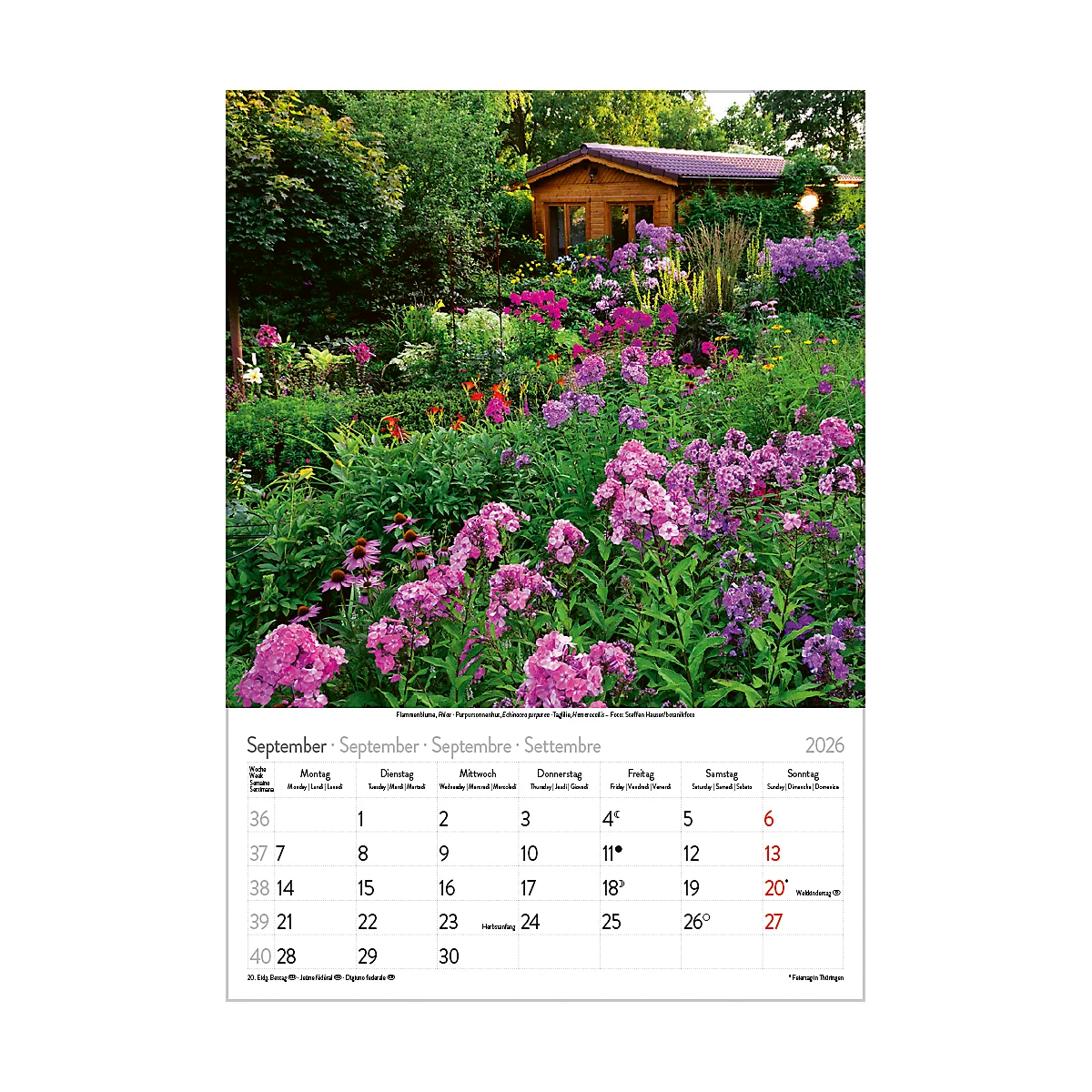 Calendrier illustré Korsch Magie des fleurs 2026, avec motifs photographiques, L 235 x H 335 mm, papier