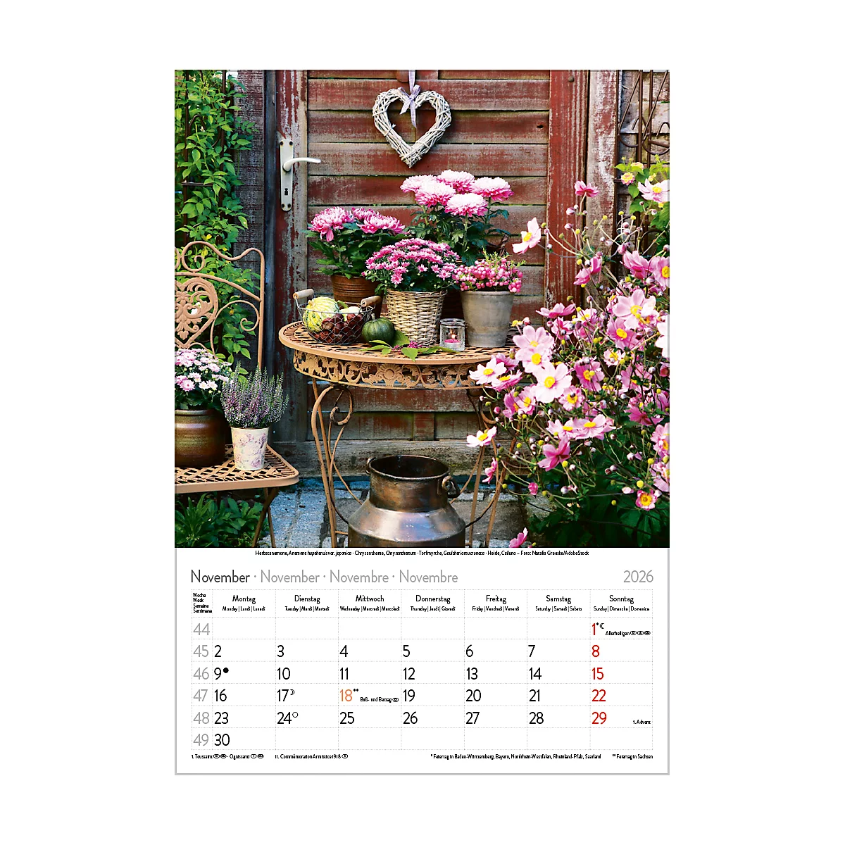 Calendrier illustré Korsch Magie des fleurs 2026, avec motifs photographiques, L 235 x H 335 mm, papier