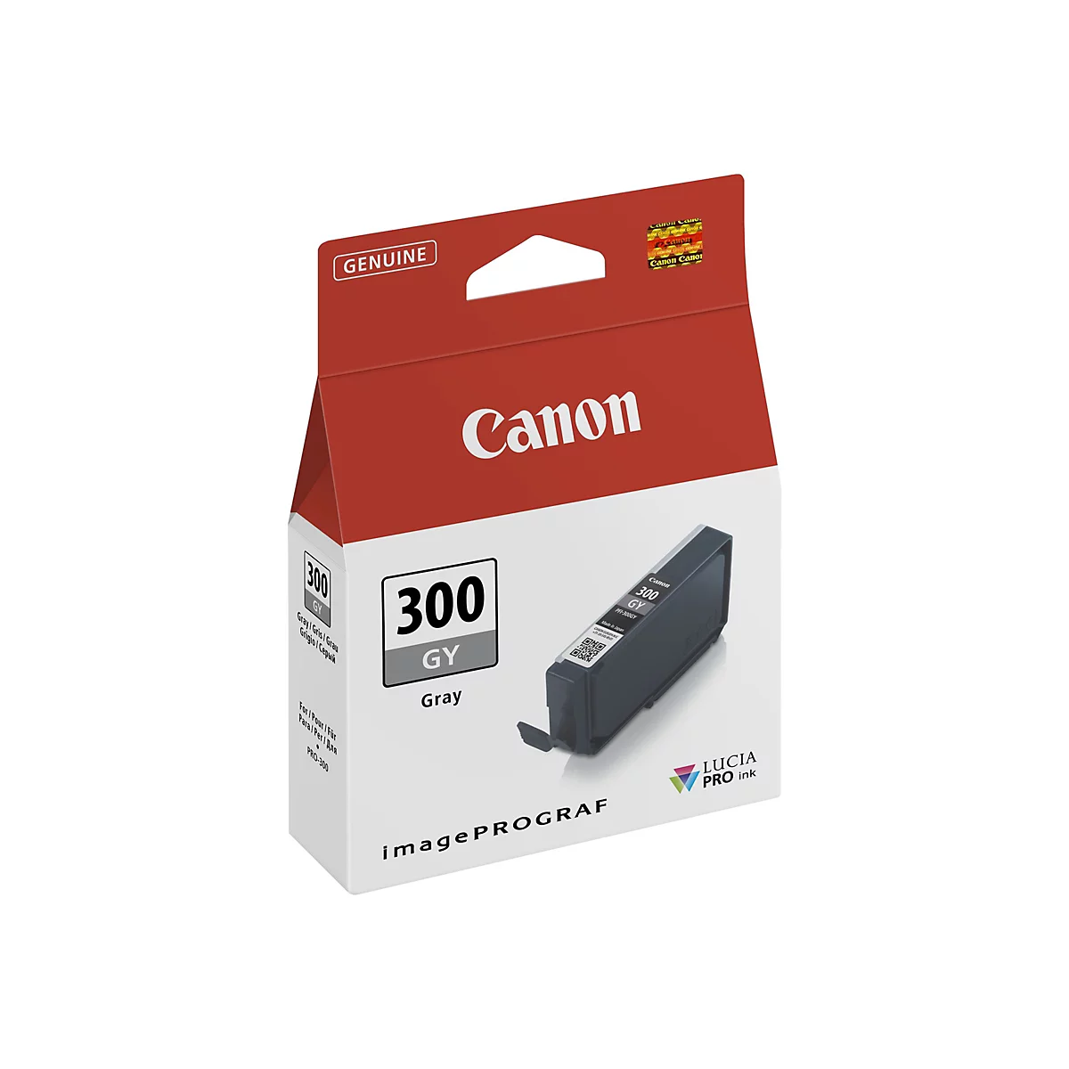 Canon-Tintenpatrone 300 GY, grau. Auf roter Schachtel steht Canon. Darunter: 300 GY Gray und ImagePROGRAF.