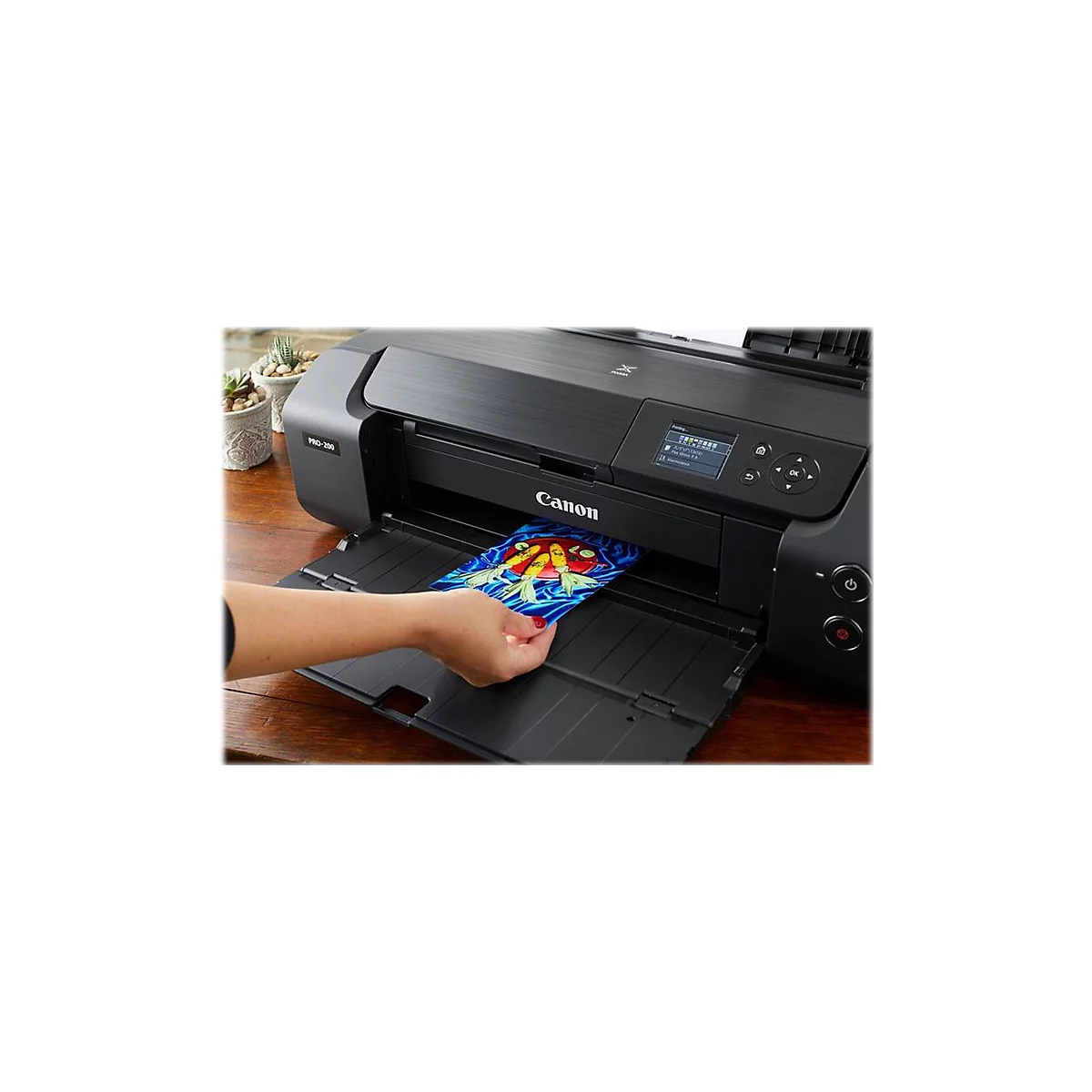 Schwarzer Canon Drucker, bedruckt ein Bild mit bunten Fischen, Person legt es in das Ausgabefach. Details: Bildschirm, Bedienknöpfe.