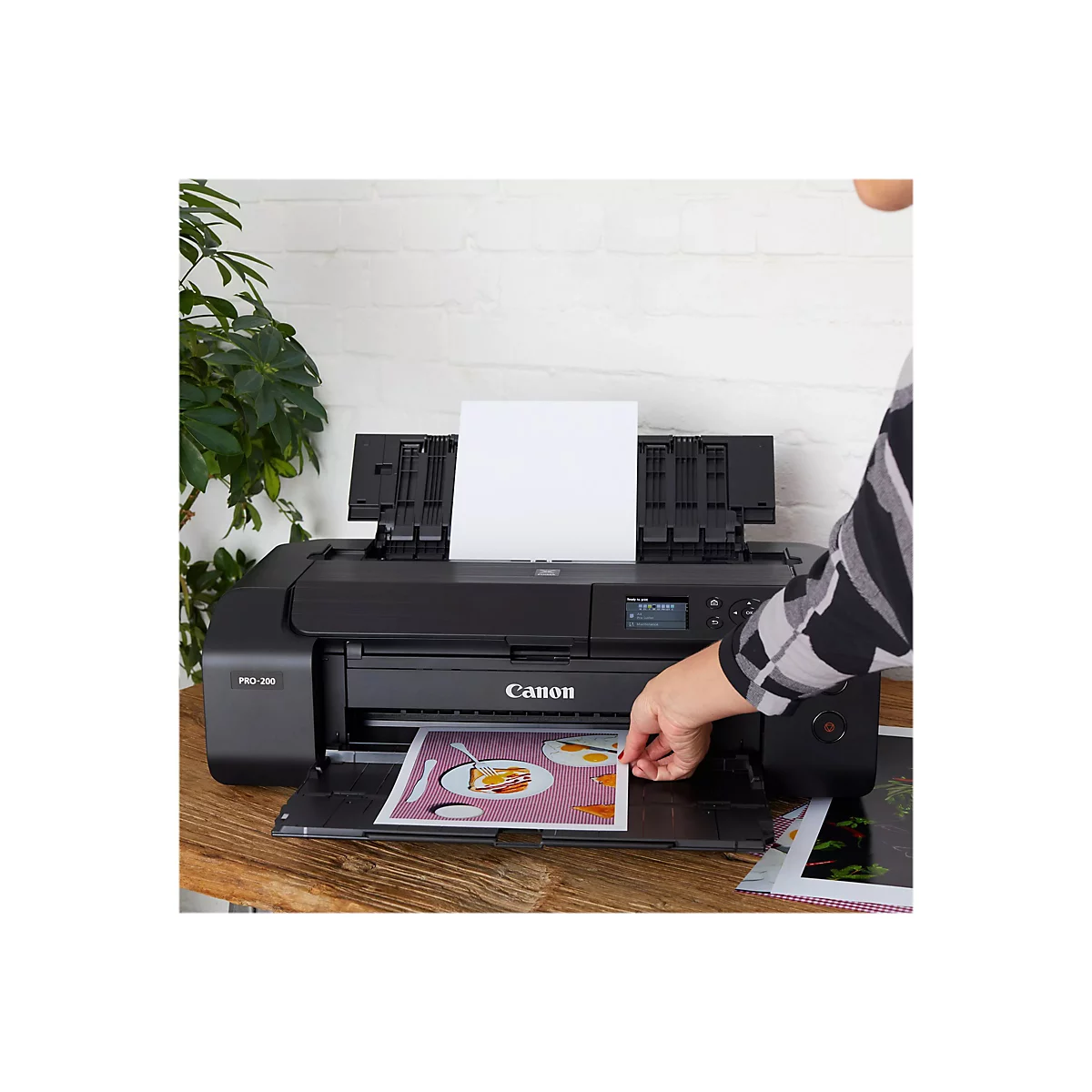 Eine Person legt ein gedrucktes Bild in einen schwarzen Canon PRO-200 Drucker ein. Auf dem gedruckten Bild sind Spiegeleier zu sehen.