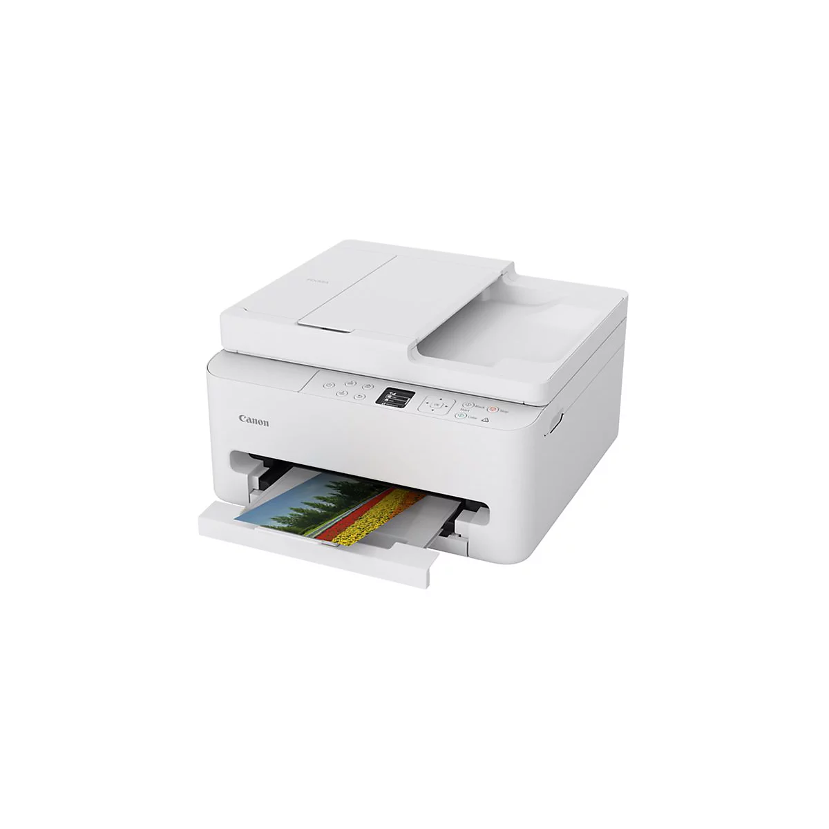 Weißer Canon-Drucker, der ein Farbfoto ausgibt.