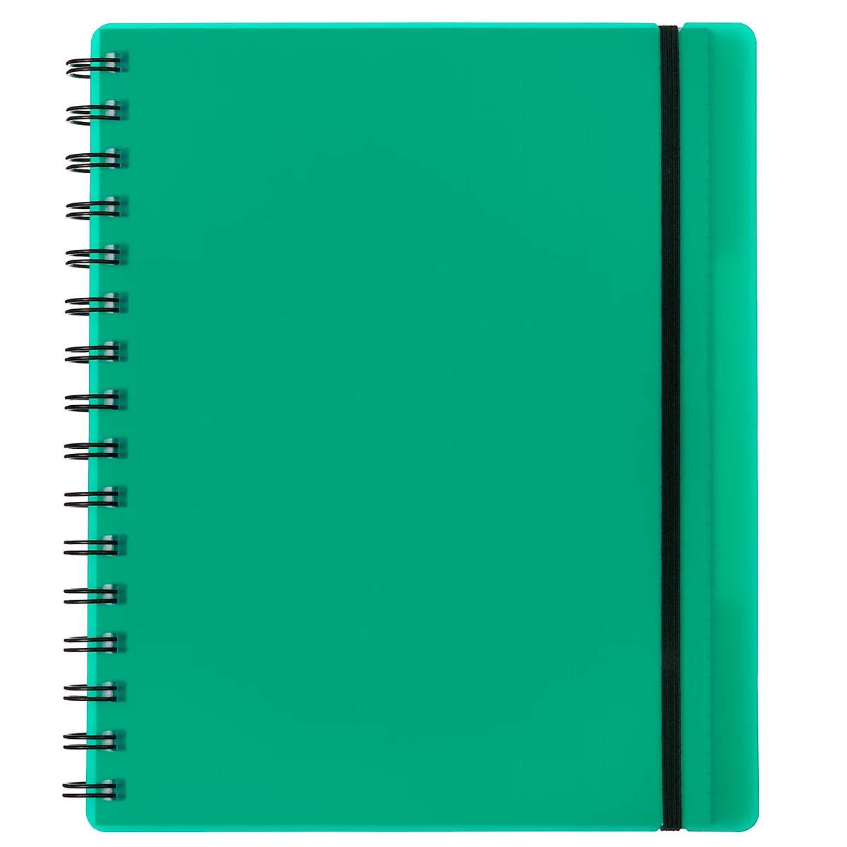 Carnet de notes Easy, A5, KolmaFlex, 100 feuilles, 5 mm, quadrillé, vert