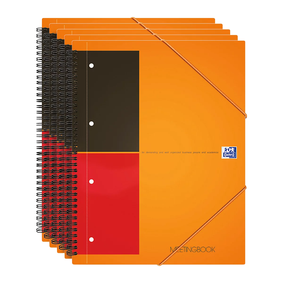 Carnet de notes International Oxford, format A4, quadrillé, 5 p.
