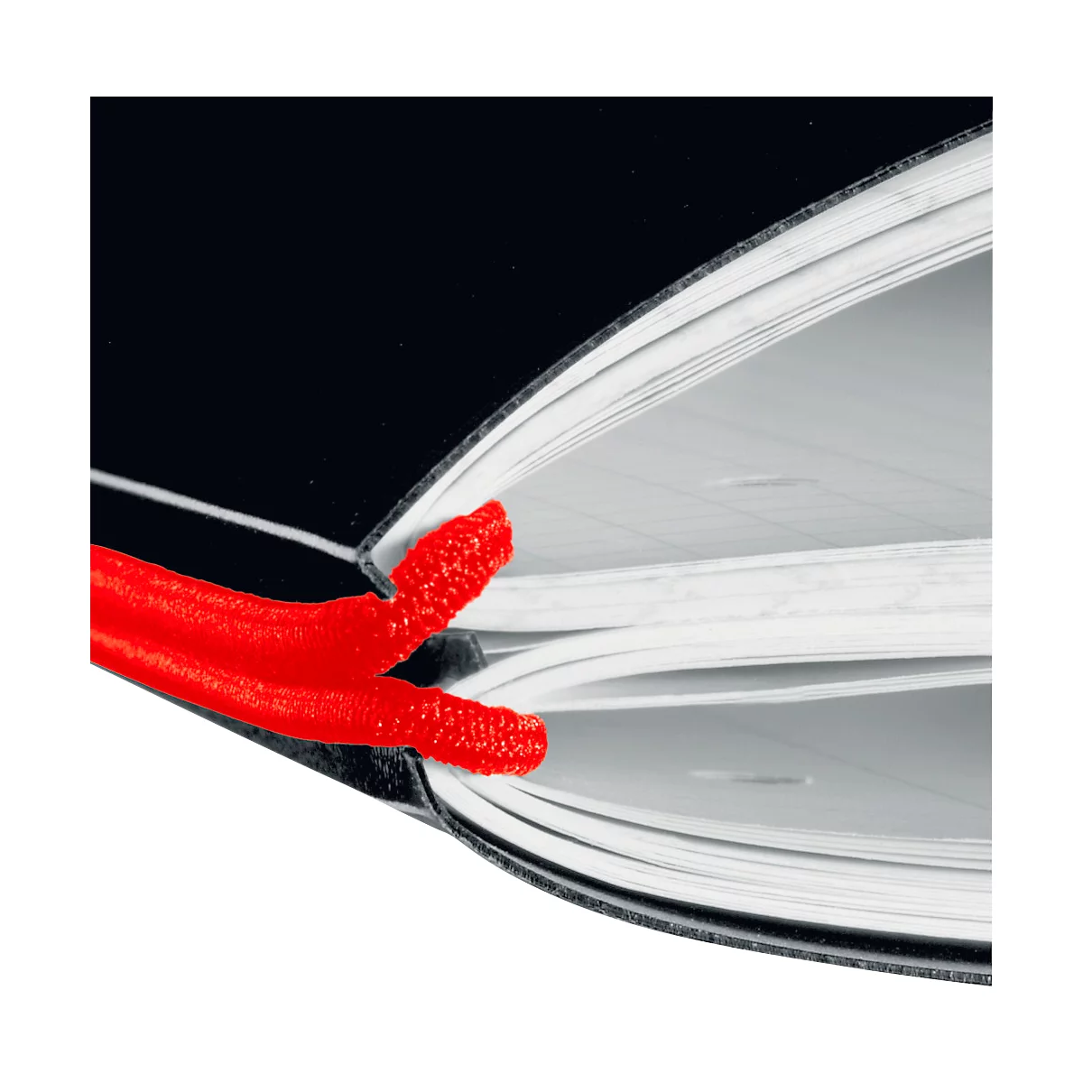 Carnet de notes my.book Herlitz, format A4, plastique, 2 x 40 feuilles quadrillées/lignées, noir