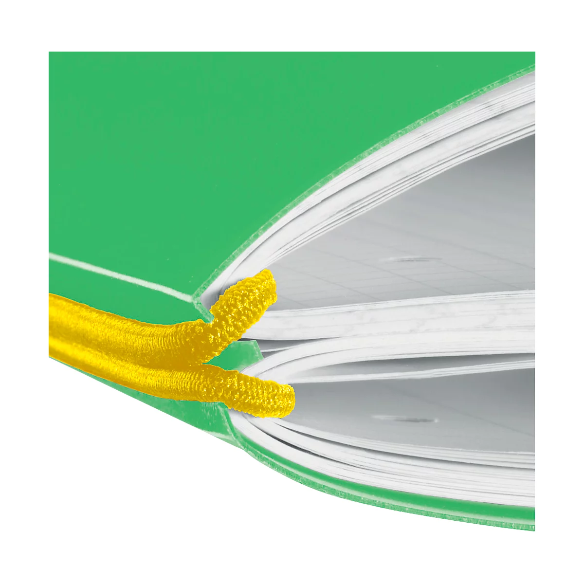 Carnet de notes my.book Herlitz, format A4, plastique, 2 x 40 feuilles quadrillées/lignées, vert
