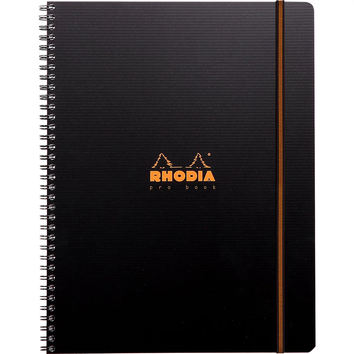 Carnet de notes Rhodia ProBook Rhodiactive, DIN A4+, 80 feuilles, 90g/m², double spirale, perforé 4 fois, quadrillé, avec en-tête