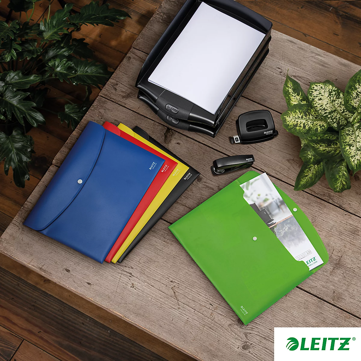 Chemise à rabats Leitz® Recycle, format A4, fermeture par boutons pression, opaque, 100 % recyclable, Ange Bleu, plastique recyclé, vert