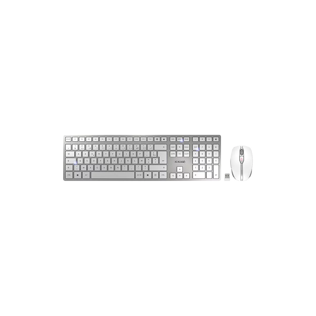 Draufsicht auf ein silbernes Tastatur-Maus-Set mit weißer Maus, USB-Empfänger auf weißem Hintergrund.