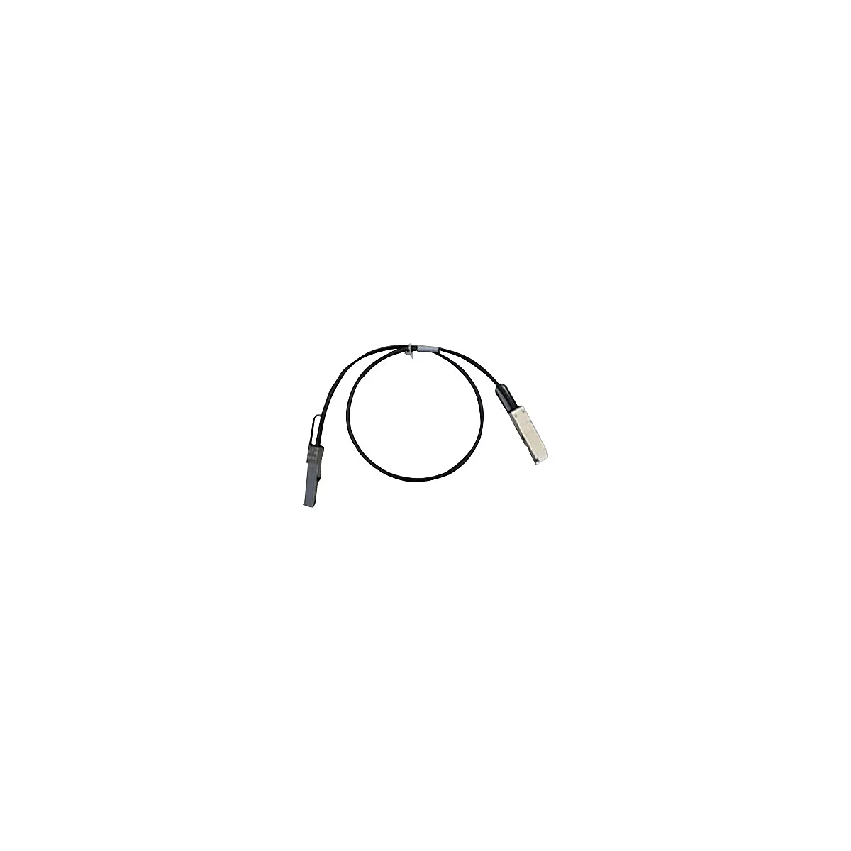 Ein schwarzes Kabel mit zwei silbernen Steckern an den Enden, verbunden durch ein schwarzes Kabel.