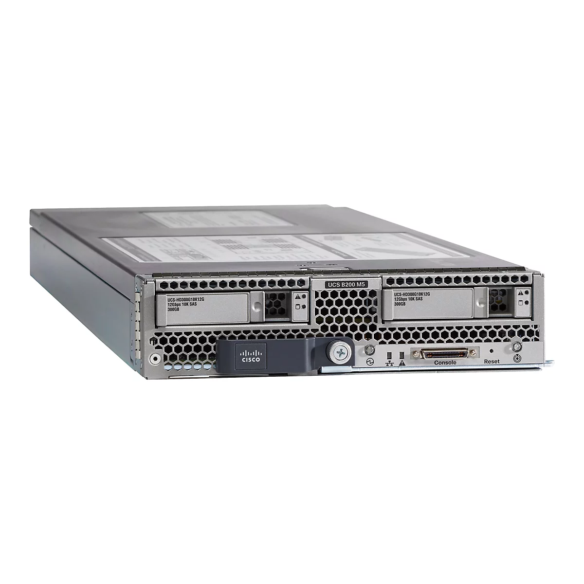 Ein grauer Server, Frontansicht, vor weißem Hintergrund. Zwei Einschübe, darunter ein Logo mit der Aufschrift „CISCO“. Beschriftung: UCS B200 M5, UCS-HD300G10K12G 12Gbps 10K SAS 300GB.