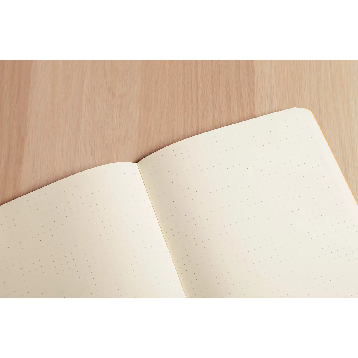 Clairefontaine Carnet de notes My Essentials Age Bag, 96 pages, DIN A5, 90g/m², numéroté, relié par couture