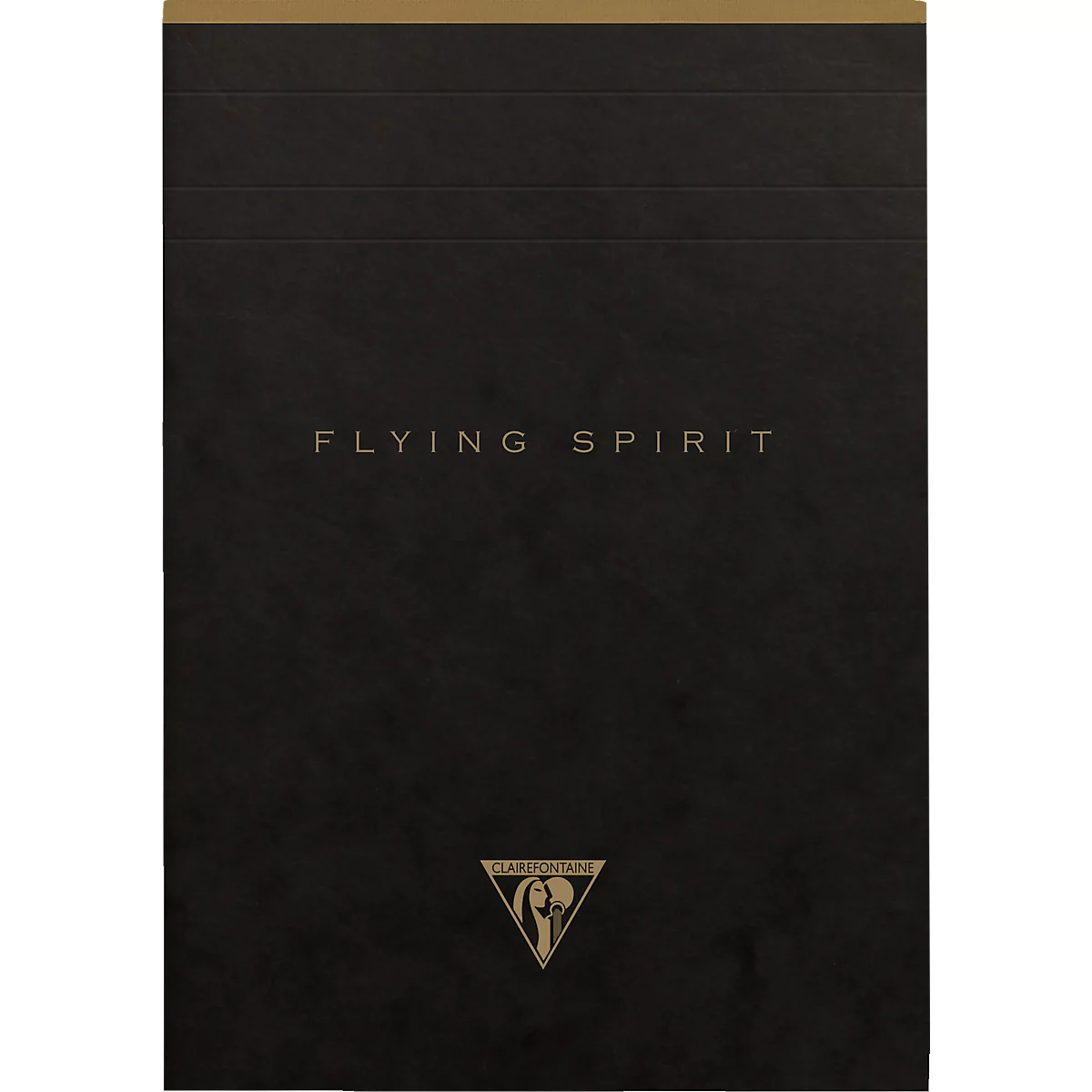 Carnet noir avec lettrage doré "FLYING SPIRIT". Un triangle doré avec logo en bas.