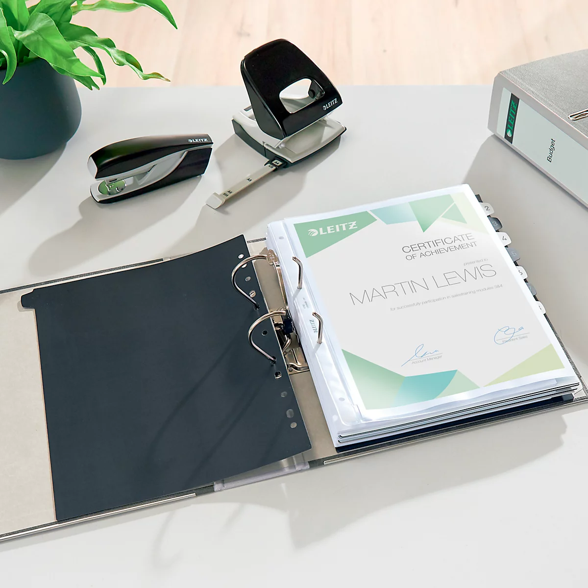 Classeur à levier 1080 LEITZ®, format A4, largeur du dos 80 mm, 20 pièces, gris