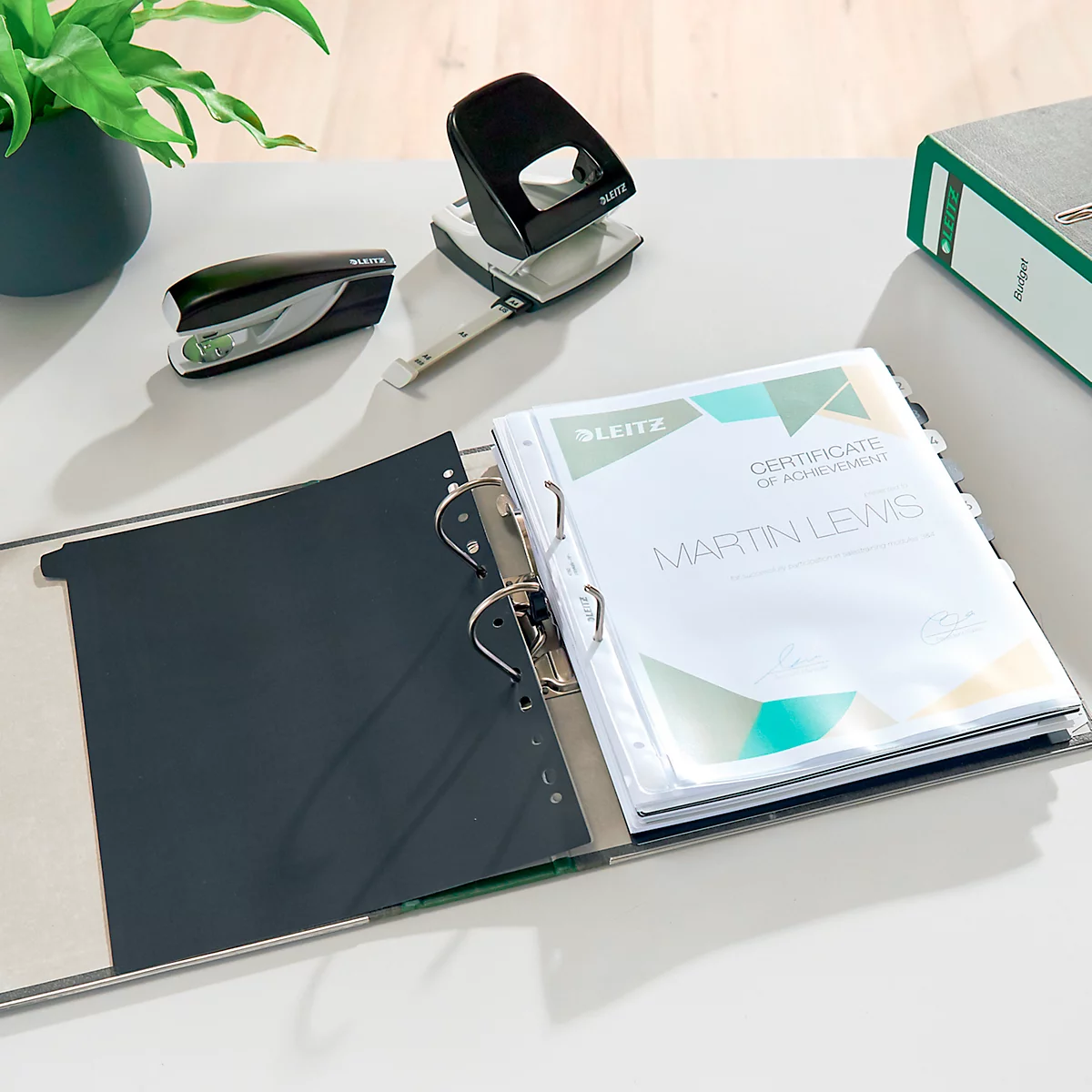 Classeur à levier 1080 LEITZ®, format A4, largeur du dos 80 mm, vert