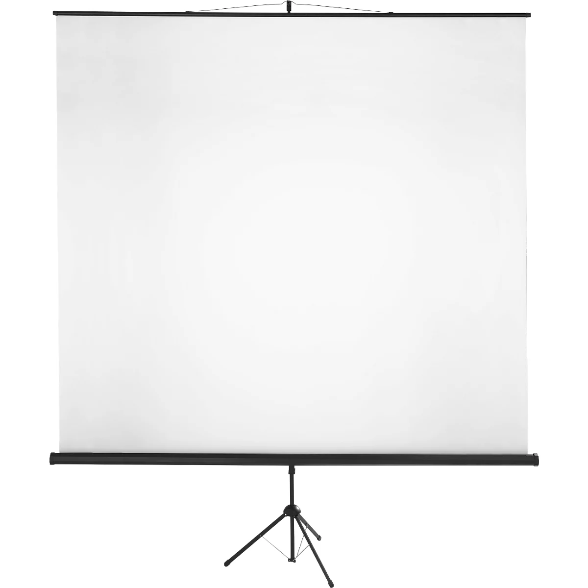 Projector screen with black tripod, white cloth, and black holder.