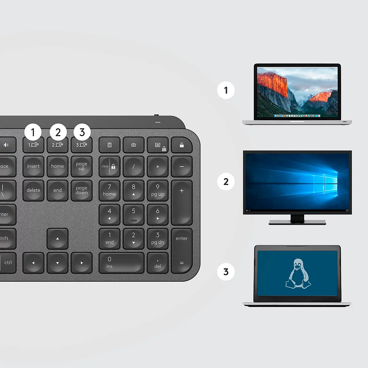Clavier gris à côté d'ordinateurs portables équipés de différents systèmes d'exploitation. L'accent est mis sur la fonctionnalité et la compatibilité.