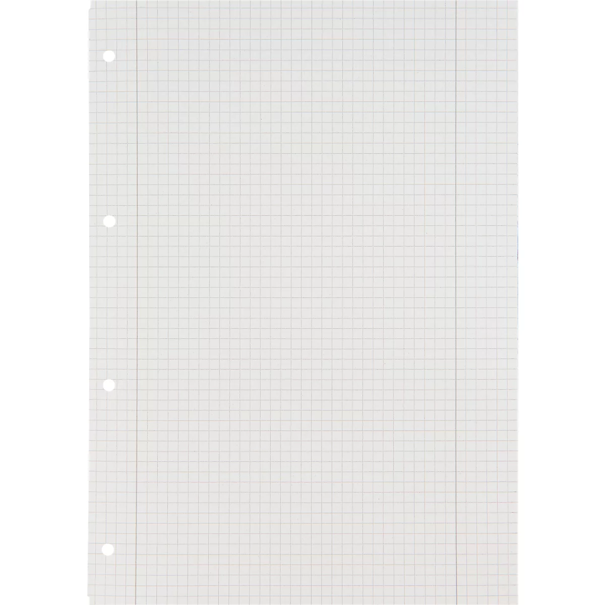 Ein weisses, kariertes Blatt Papier mit vier Lochungen an der linken Seite.