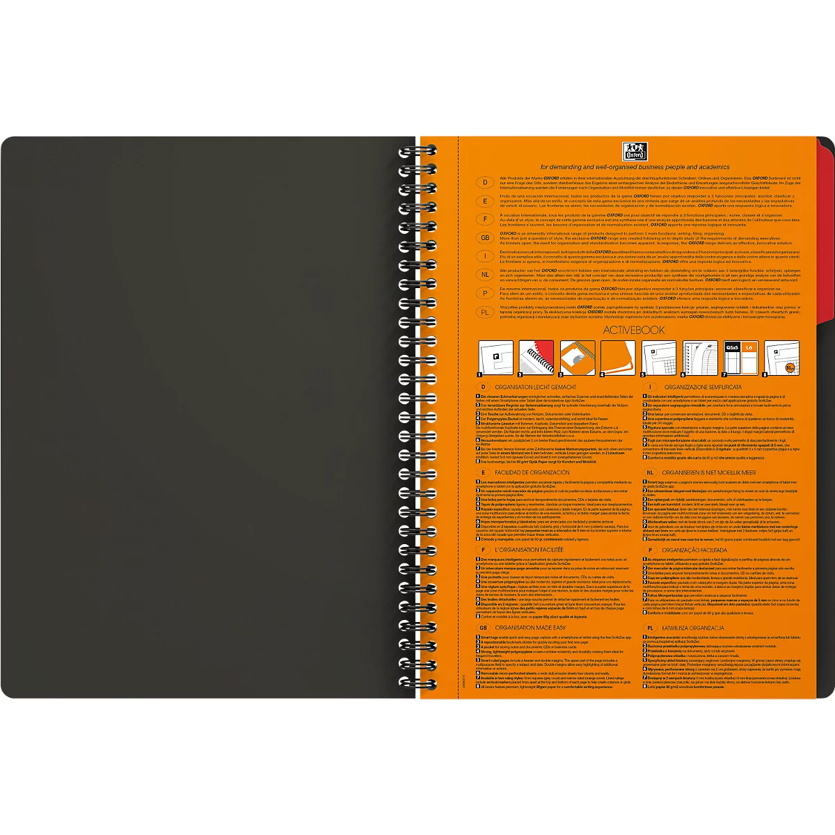 Collegeblock Oxford International Activebook, 80 Seiten, DIN B5, kariert, mit Rand, Optik Paper®, Doppelspiralbindung