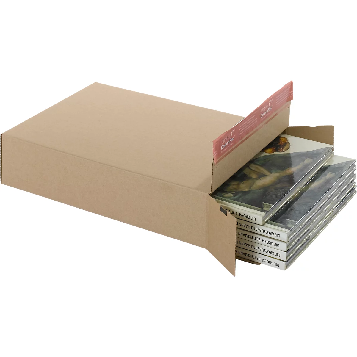 ColomPac Kurierpaket, 20 Stück, 250 x 345 x 75 mm, DHL-optimiert, mit Selbstklebeverschluss