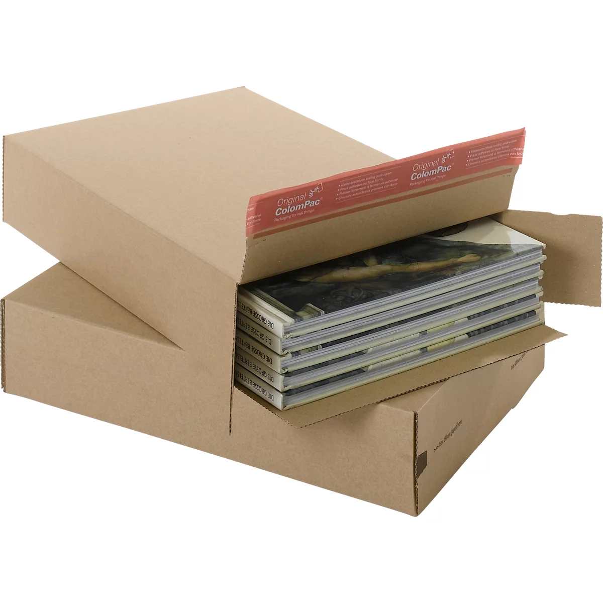 ColomPac Kurierpaket, 20 Stück, 250 x 345 x 75 mm, DHL-optimiert, mit Selbstklebeverschluss