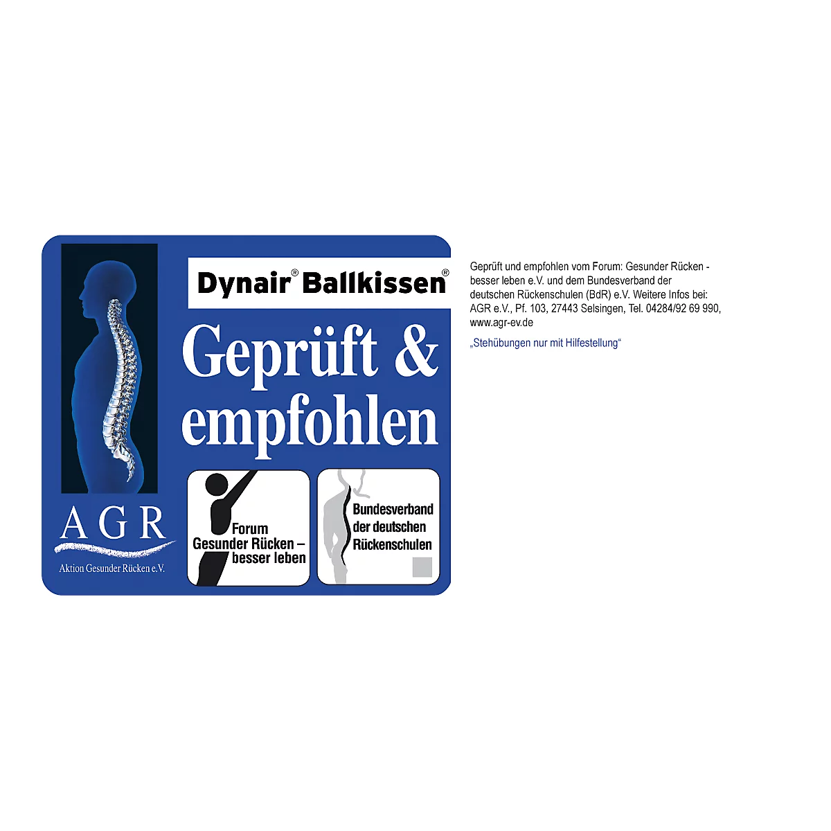 Coussin balle Dynair TOGU®, diamètre 33 cm, poids 850 g, bleu