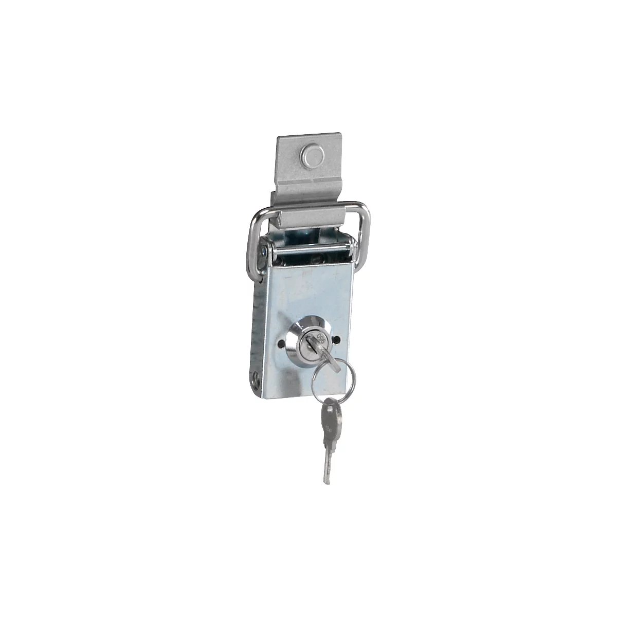 Metal lock with key inserted in the lock. Silver, a typical closure.