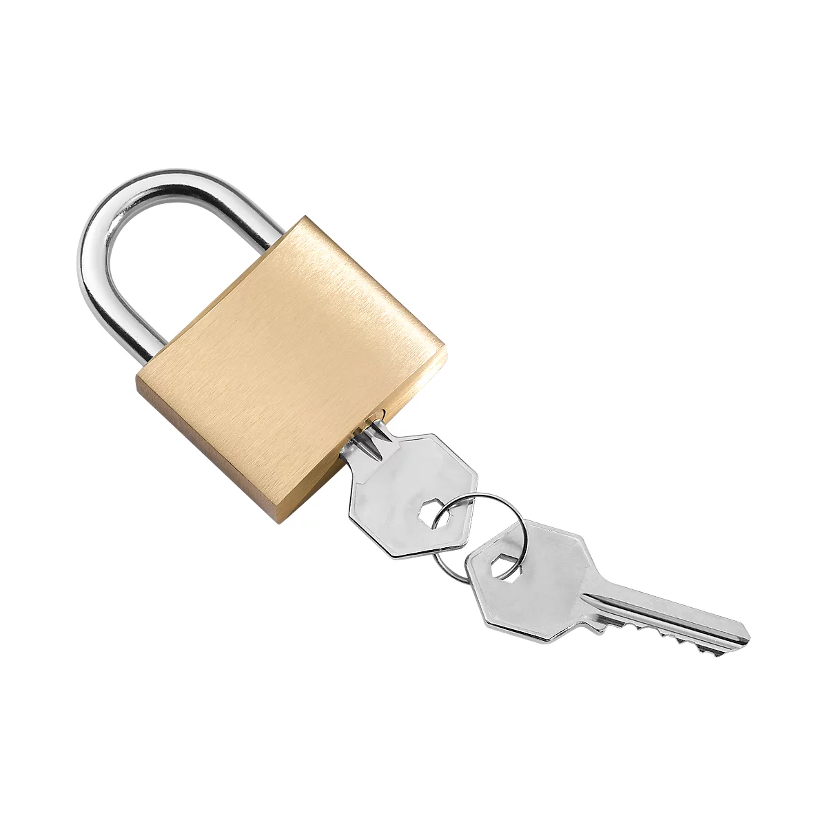 A gold padlock with two keys against a white background.