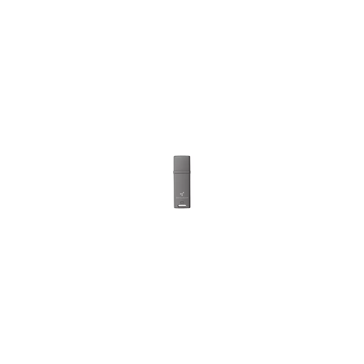 Grauer USB-Stick mit 'DATALOCKER'-Logo und rechteckigem Design.