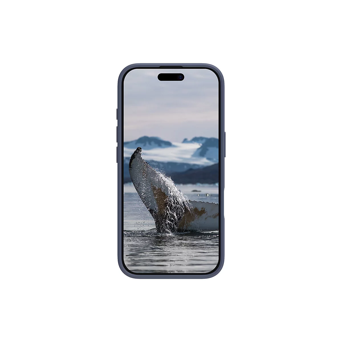 Nageoire de baleine brisant l'eau sur un écran de smartphone, glaciers en arrière-plan.