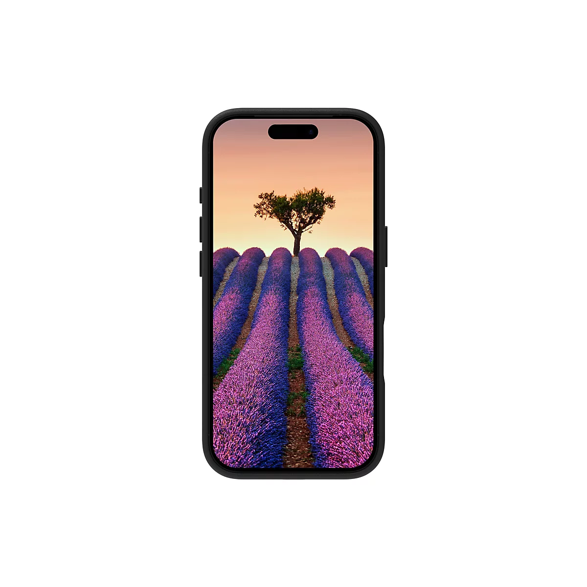 Smartphone avec une image de fond d'un champ de lavande sous un arbre.