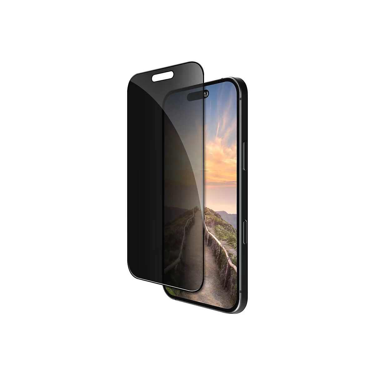 Ein schwarzes Smartphone mit aufgelegter Privacy Folie, dahinter ist eine Landschaft zu sehen.
