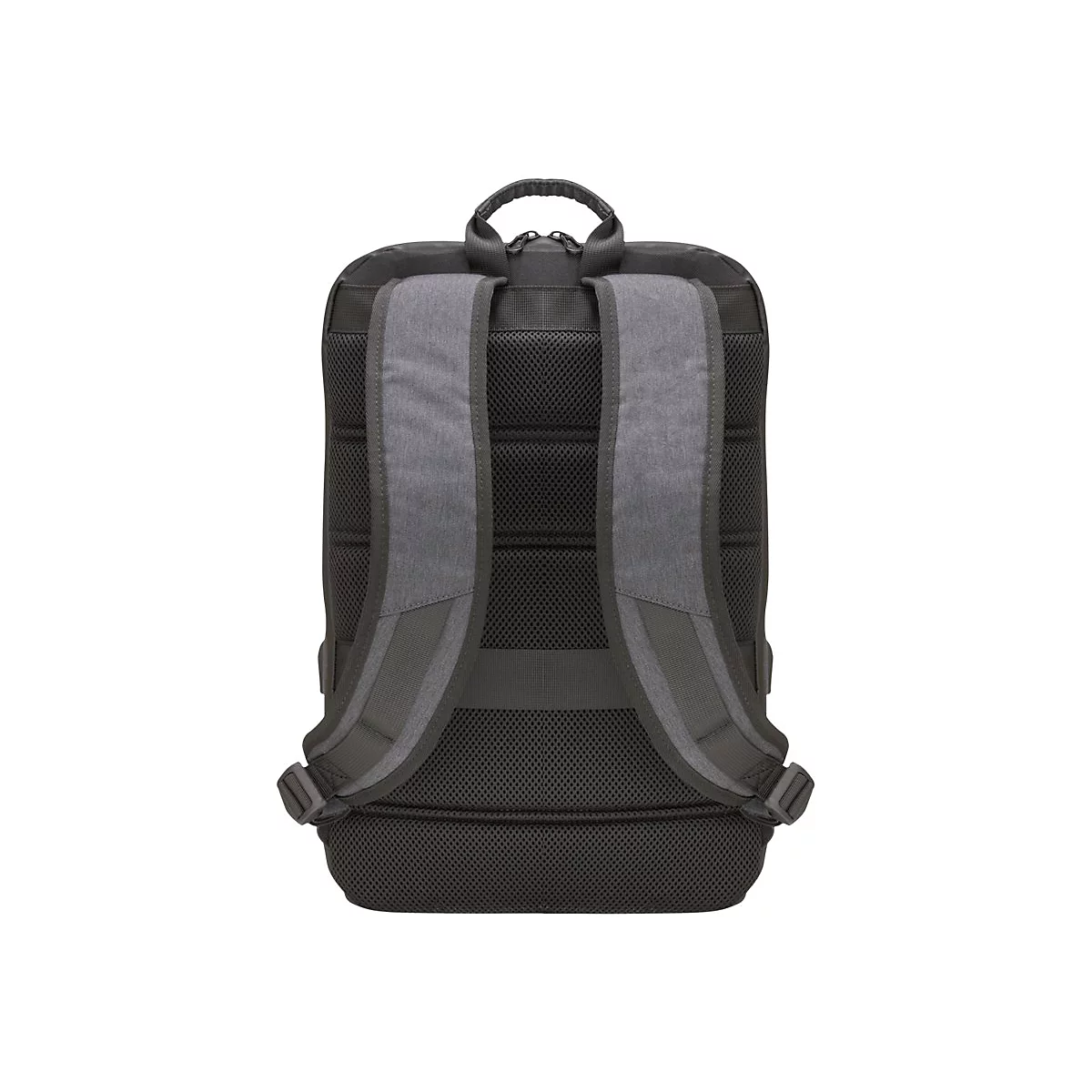 Schwarzer Rucksack von hinten, graue Träger und Netzrücken, Tragegriff oben.