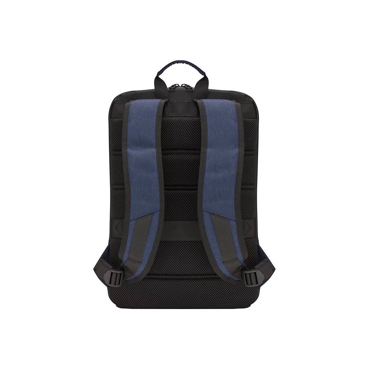 Schwarzer Rucksack von hinten, blaue Schultergurte, Tragegriff.