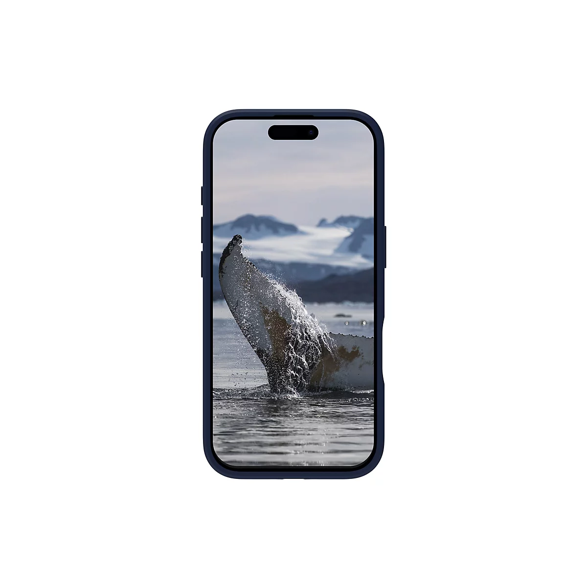 Ein Handy mit einem blauen Rahmen zeigt ein Bild von einer Buckelwalflosse, die aus dem Wasser springt und eine Gischt verursacht.