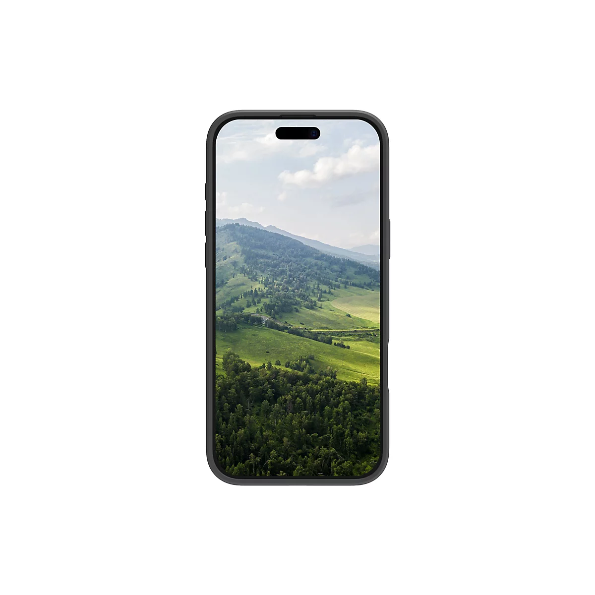 Smartphone, der ein Landschaftsfoto zeigt. Berge, grüne Felder und Wald unter blauem Himmel.