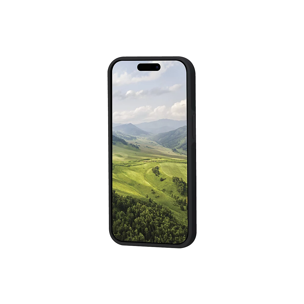 Schwarzes Smartphone mit Landschaftsbild auf dem Bildschirm, vor weißem Hintergrund.