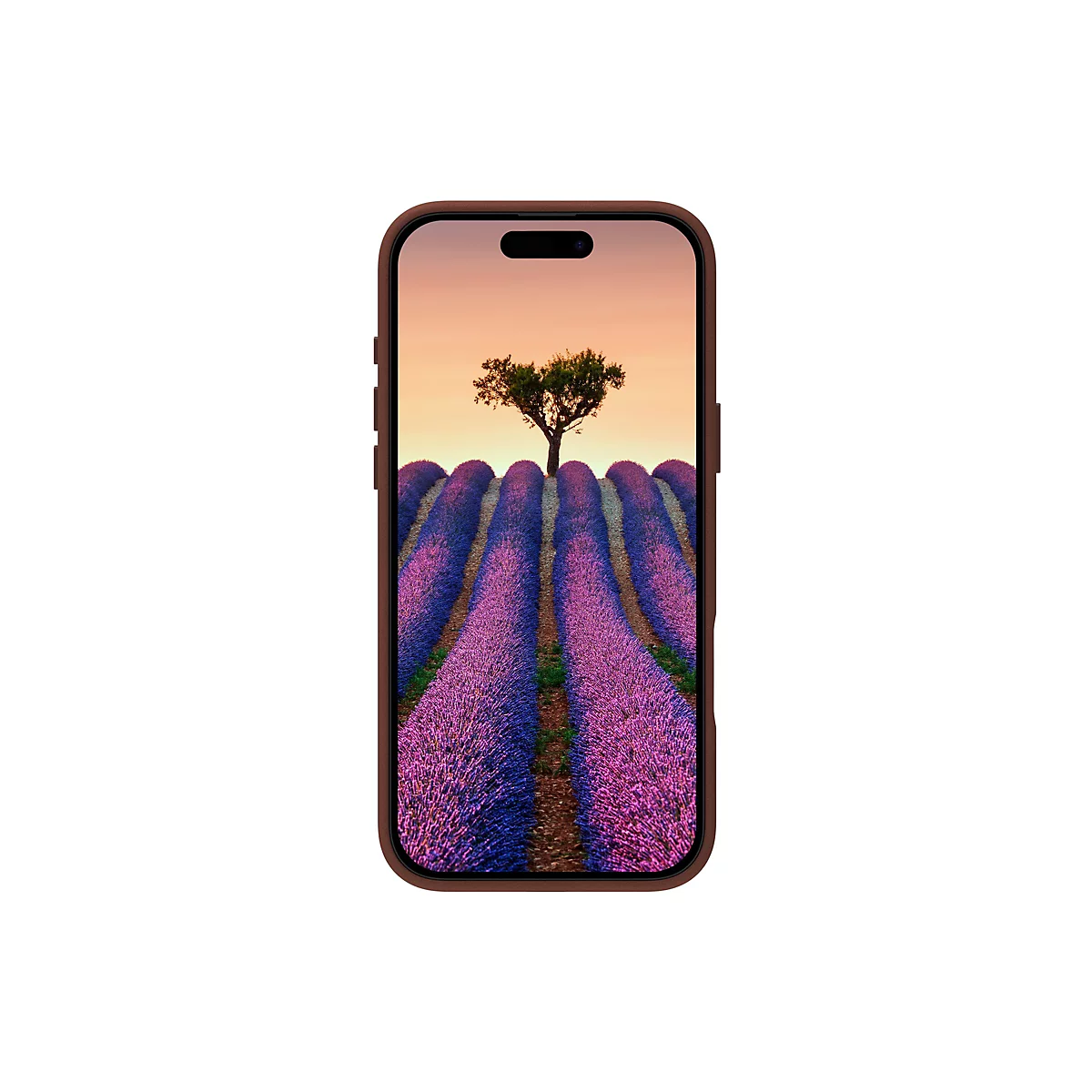 Smartphone, Anzeige eines Lavendelfeldes mit Baum vor orangefarbenem Himmel.