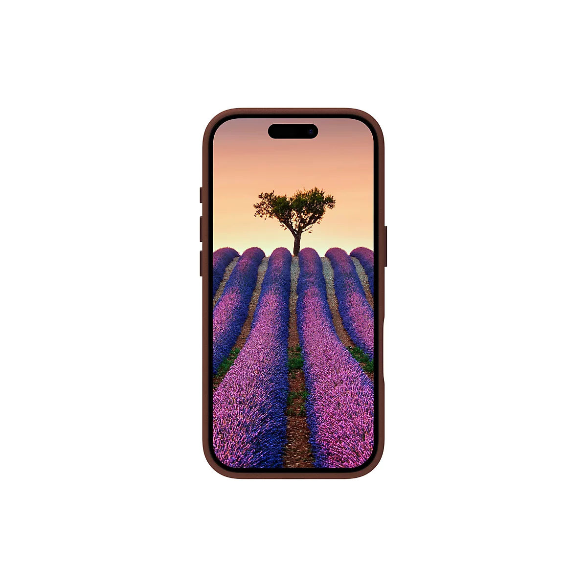Smartphone, Anzeige eines Lavendelfeldes mit Baum, braunes Case. 