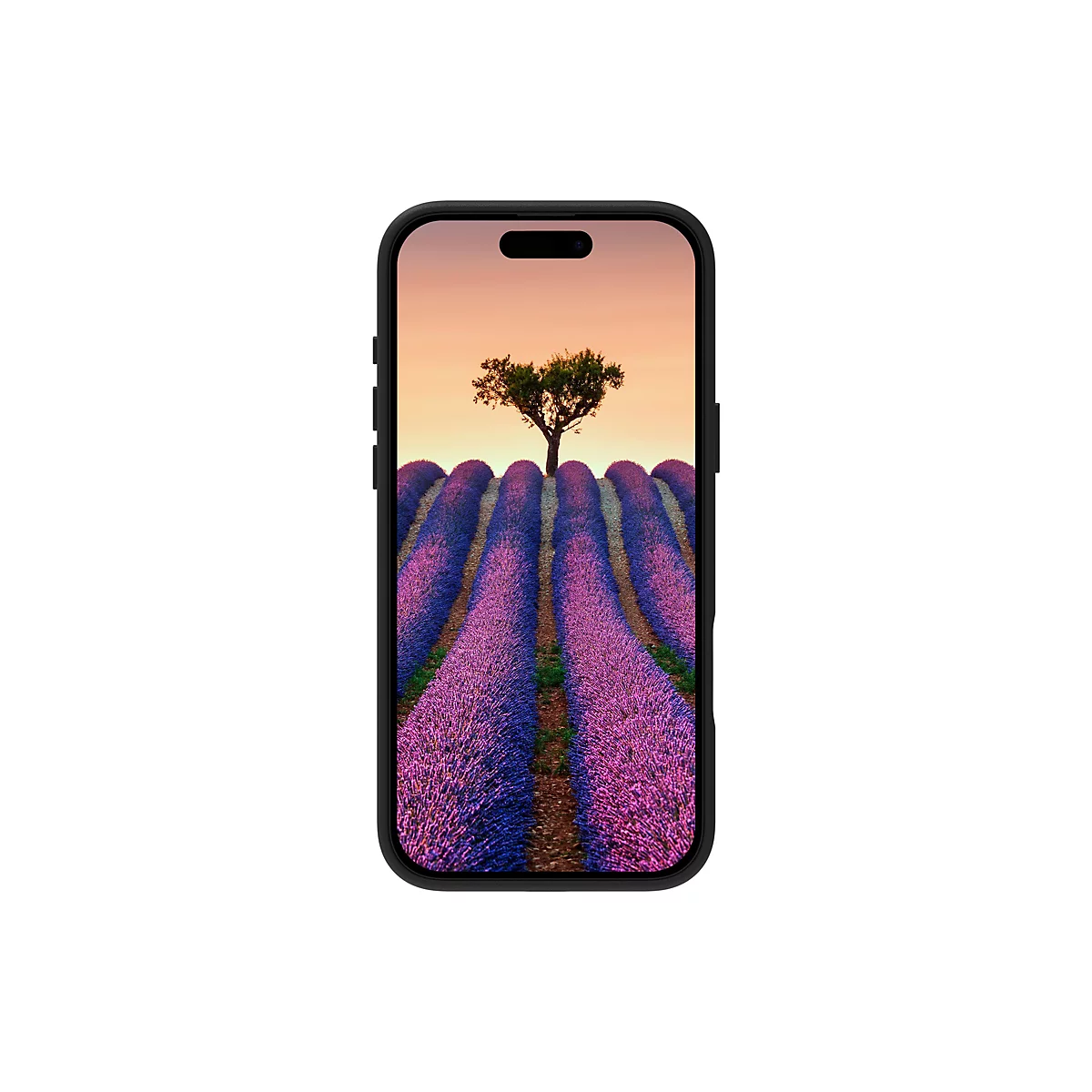 Smartphone, der ein Lavendelfeld mit Baum zeigt. Der schwarze Rahmen des Telefons umrandet das Bild, das von einem Abendhimmel gekrönt wird.